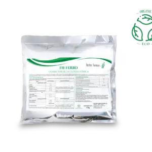 FH-FERRO